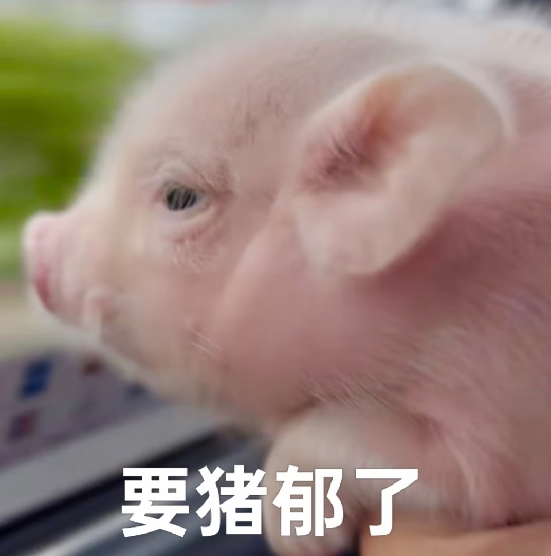 好崩溃我右眼被蚊子咬肿了今天如何见人! 