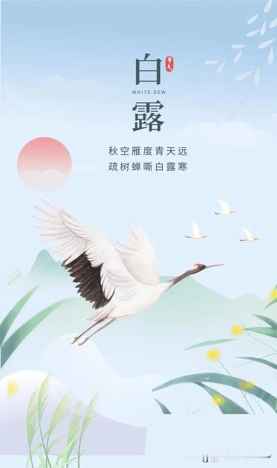 今日白露
白露是二十四节气中的第十五个节气，也是入秋后的第三个节气。#将迎来白露