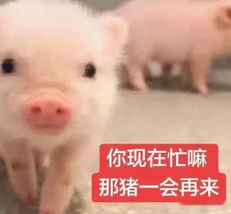 路过打个招呼 ​​​