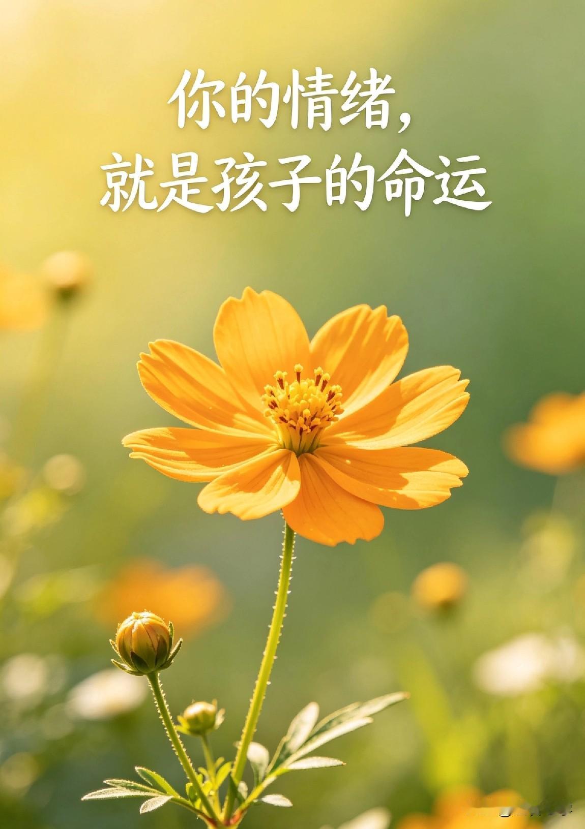 你的情绪就是孩子的命运

心理学家说过一句话，我记了很久：“孩子不是听你怎么说，