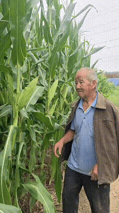 大爷一口气跑了二里地[捂脸]