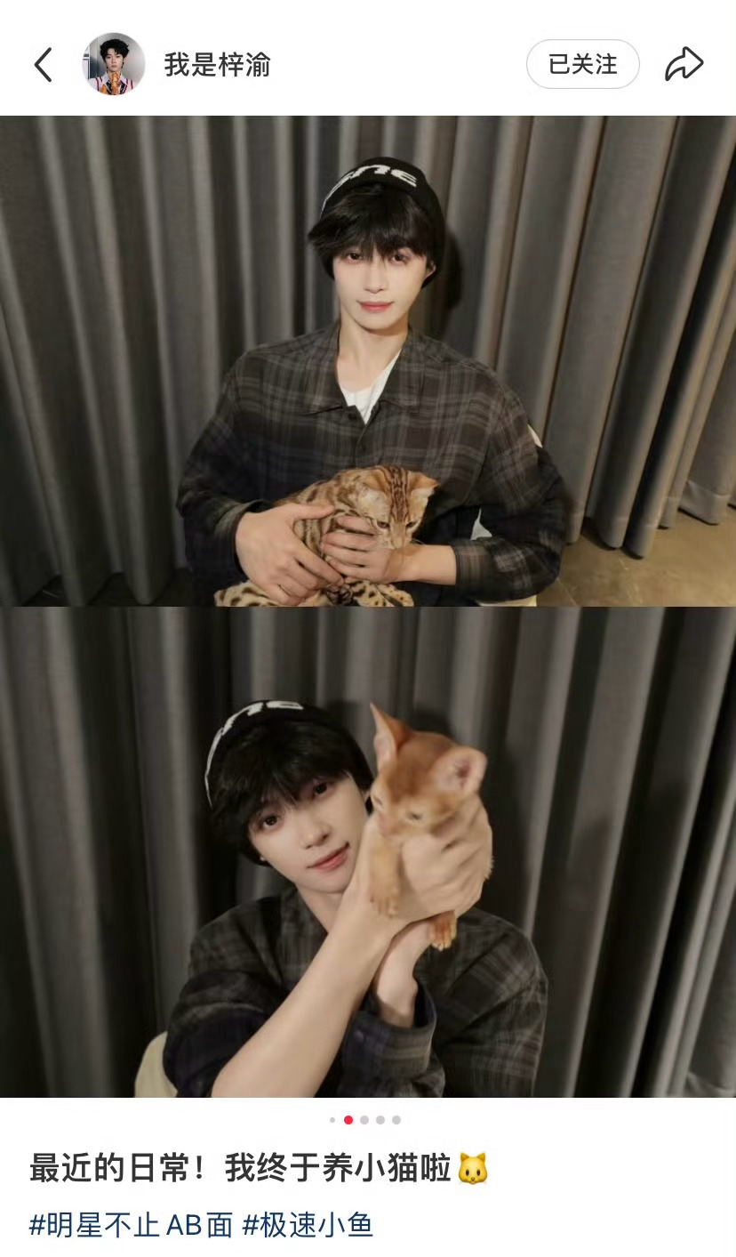 梓渝终于养猫了梓瑜也有自己的猫啦！一只小鱼养了两只小猫好萌 