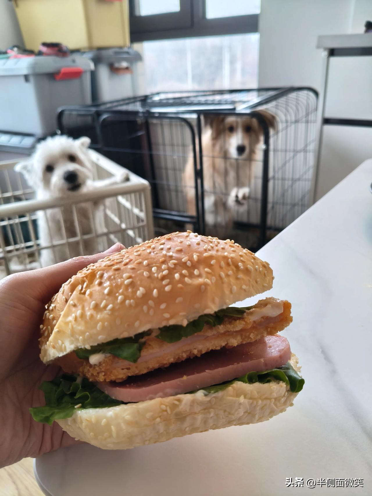 最出色的一个队伍