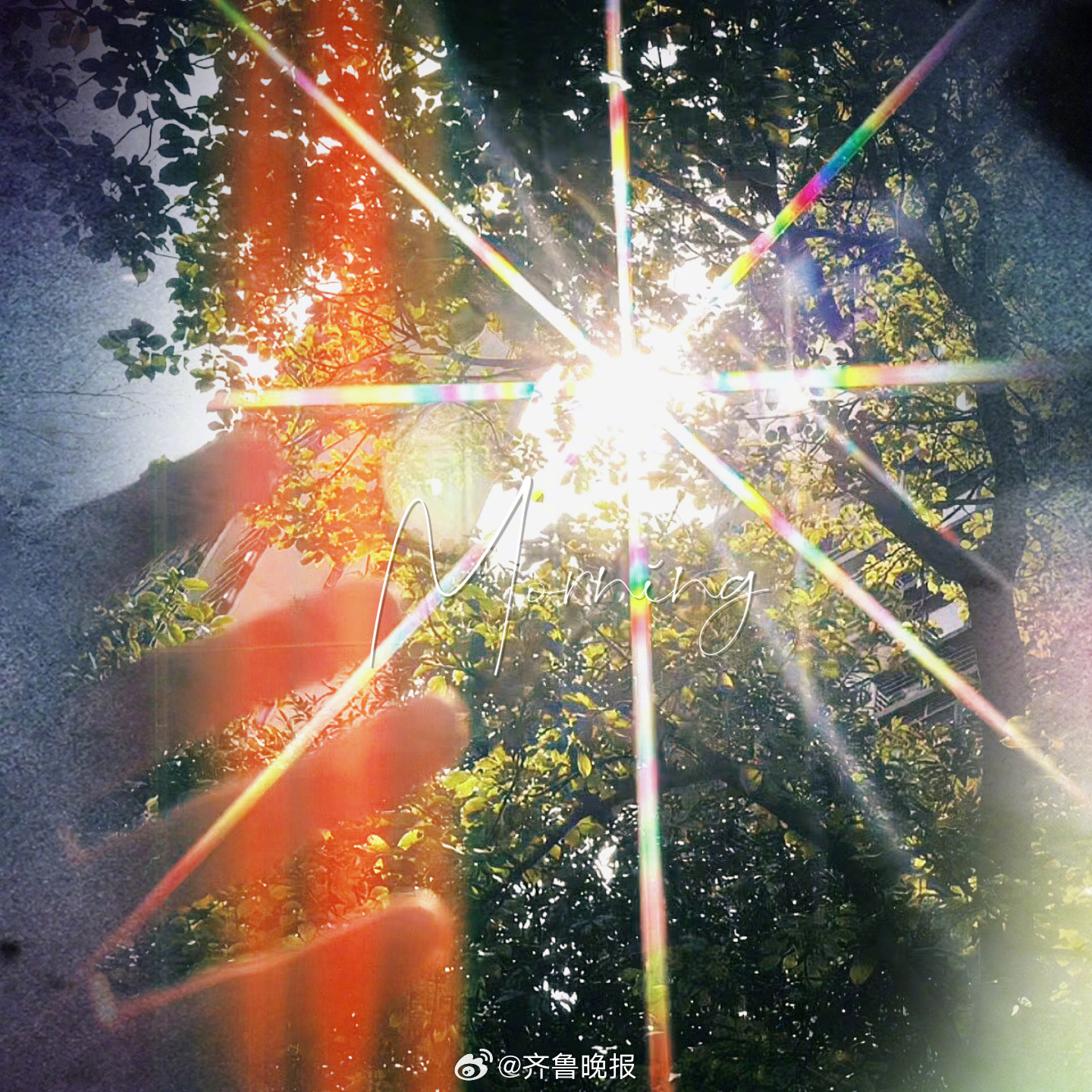 自给自足的光永远不会暗[太阳]#早安# ​​​