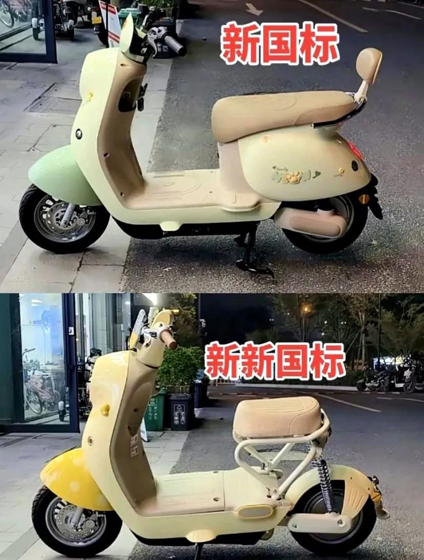 这新国标电动车问世后，也是名声大噪，不少的网友也是给电动车起了新的名字，叫做“共