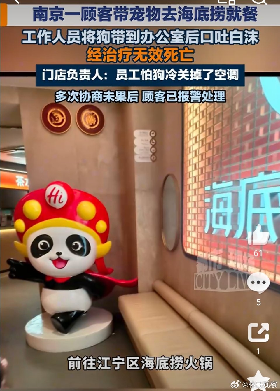 看完整件事的时间线，再对照主人放出的宠物医院病历，其实整件事的来龙去脉已经非常清