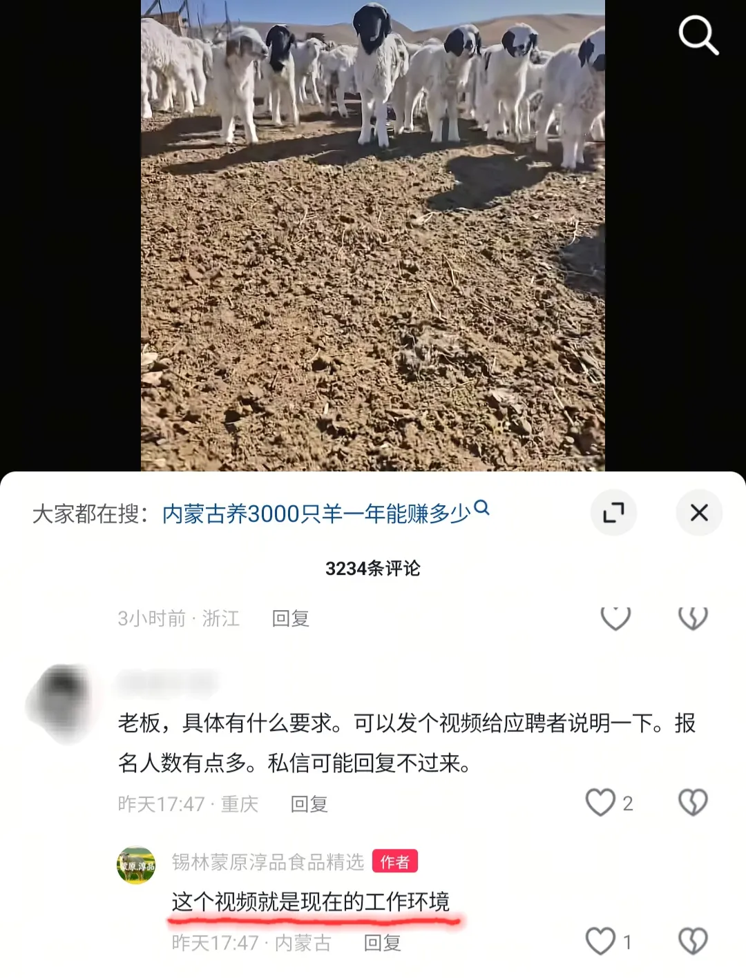 “月薪1.6万招人放羊”老板再发声：多人通过初选，但担心条件