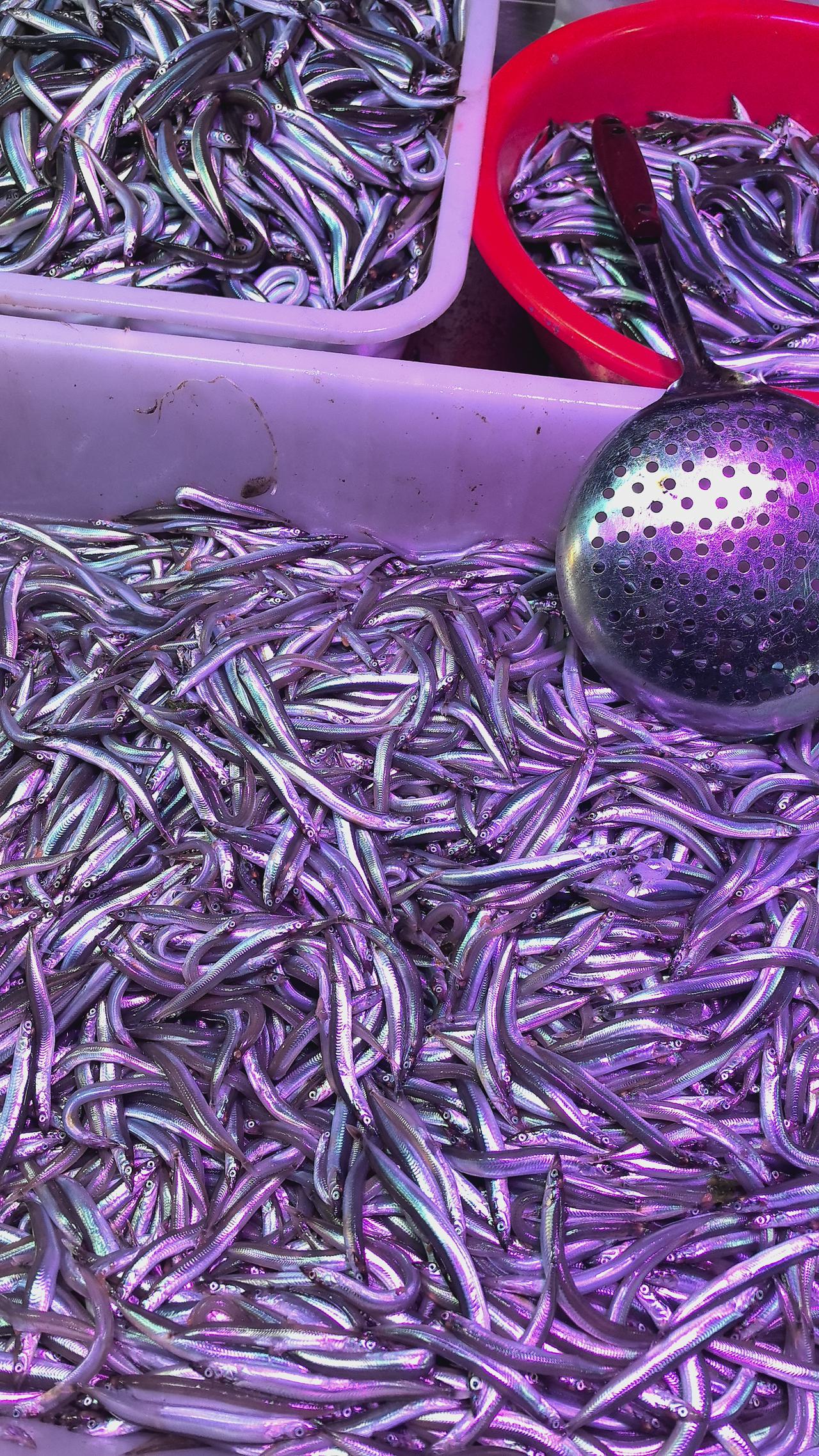 中国最贵的8大酒店：
第八名：上海和平饭店，8万/天；
第七名：上海柏悦酒店，9