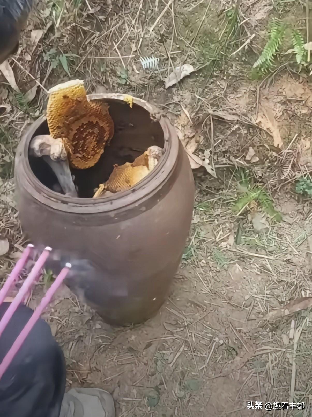 网友祭祖竟在太公骨灰坛里发现蜂蜜，当场开吃
近日，一则让人哭笑不得的祭祖趣事在网