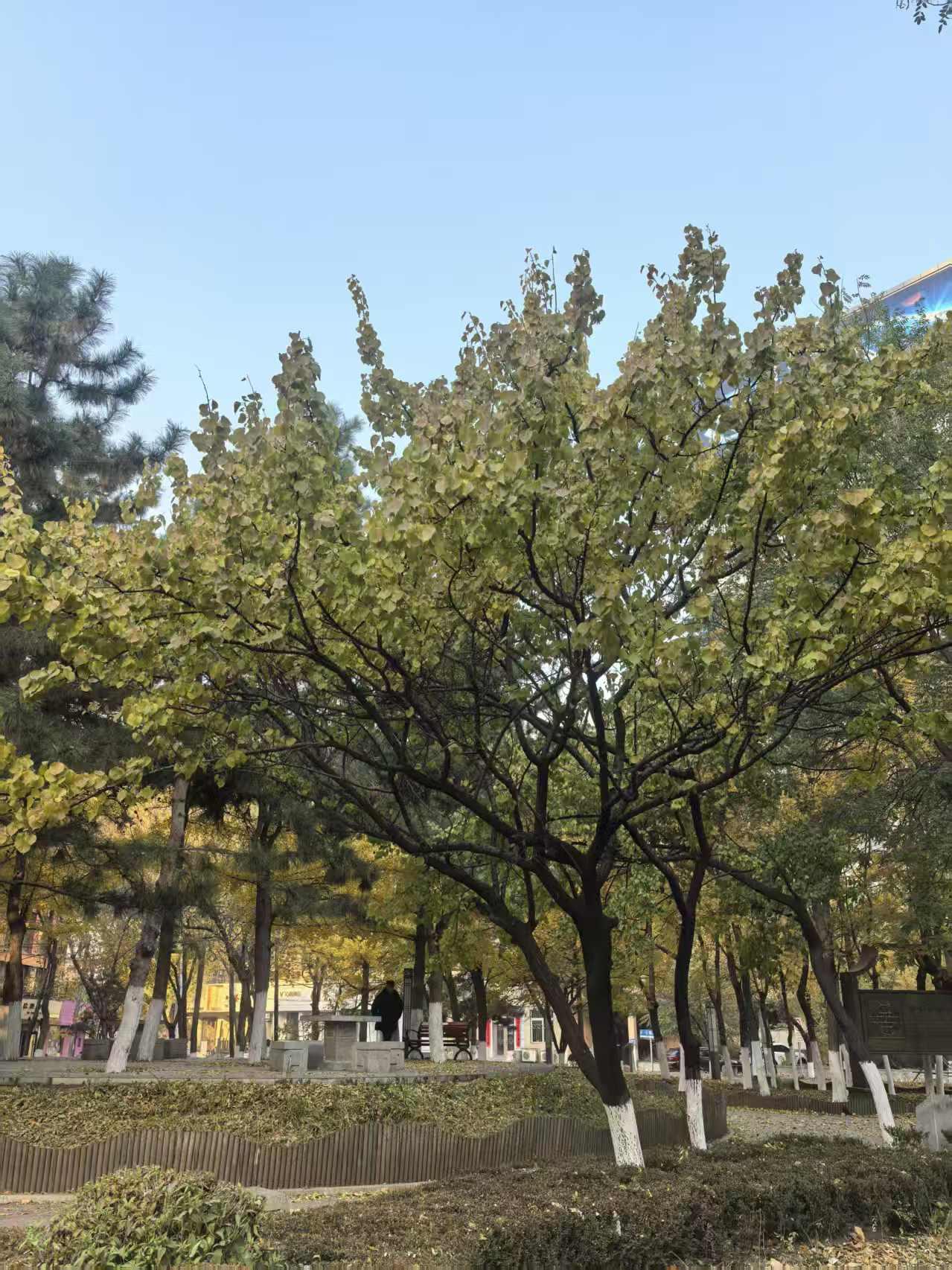 或许此刻的你正埋首于堆积如山的任务里，对着屏幕上密密麻麻的文字感到眼酸，或许你刚