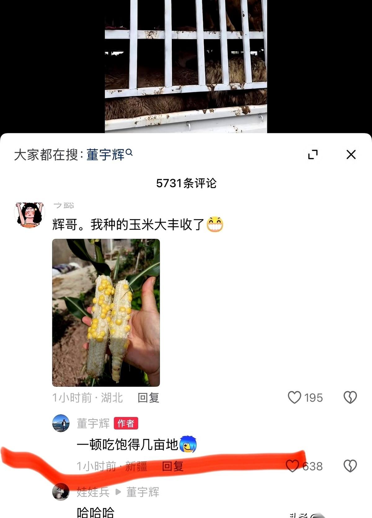 啃了半个小时，腮帮子都快酸脱臼了。
一摸肚子——好家伙，怎么比饭前还饿？
大半夜