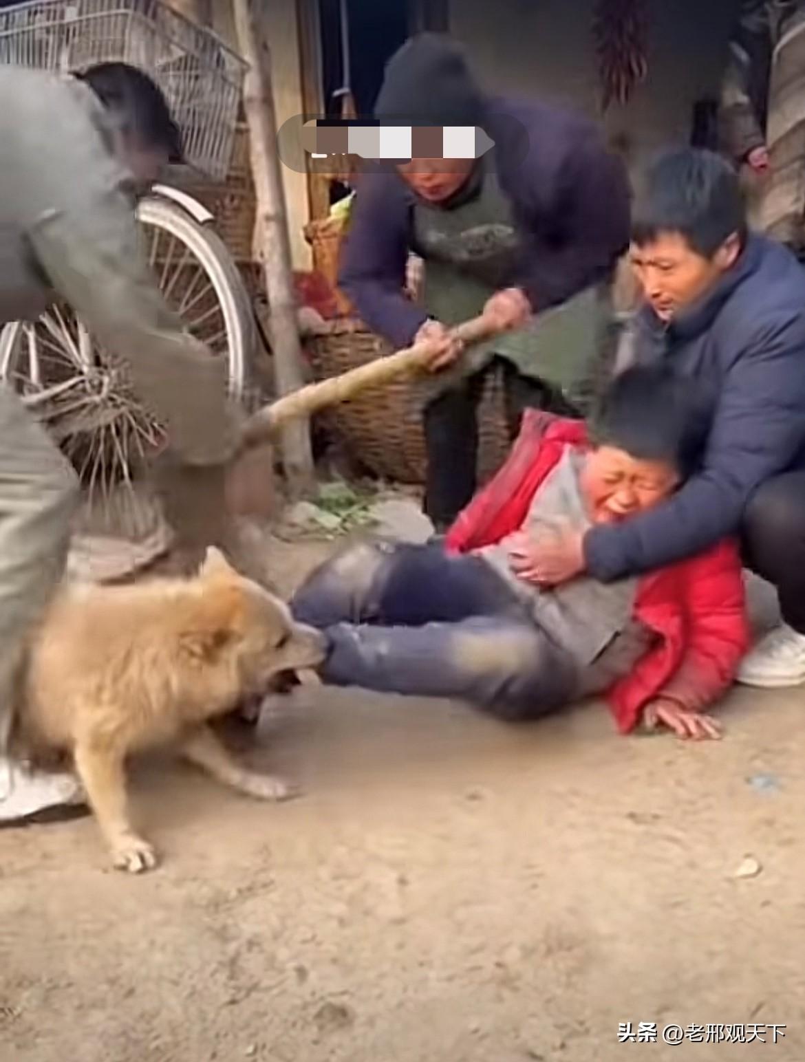 不怕得罪那些养狗人，这十句养狗人挂在嘴边的话，听了，不得不感慨，养狗人的话术，天