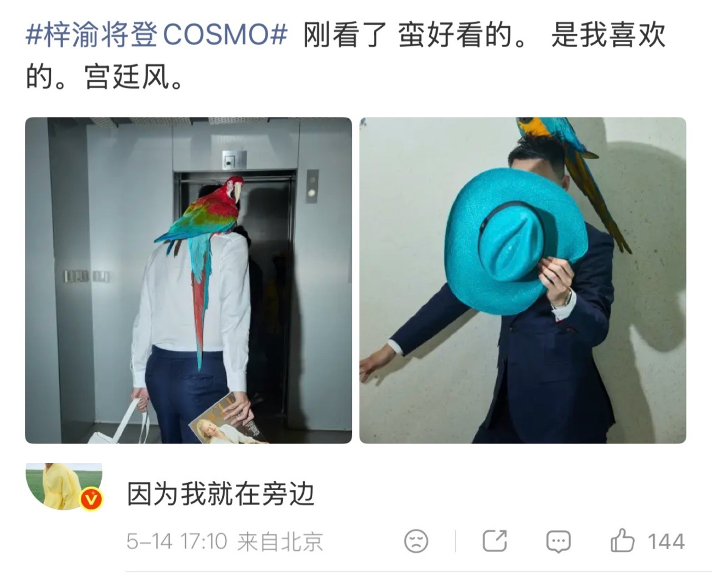 梓渝将登上COSMO 梓渝将登上时尚COSMO，首本五大女刊get，还是宫廷风 