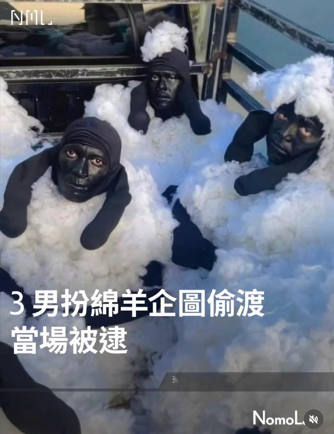 想起……（不 你不想