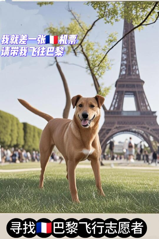让你的行程多一份生命的重量🇫🇷巴黎