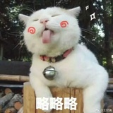 小瓜瓜爱读历史