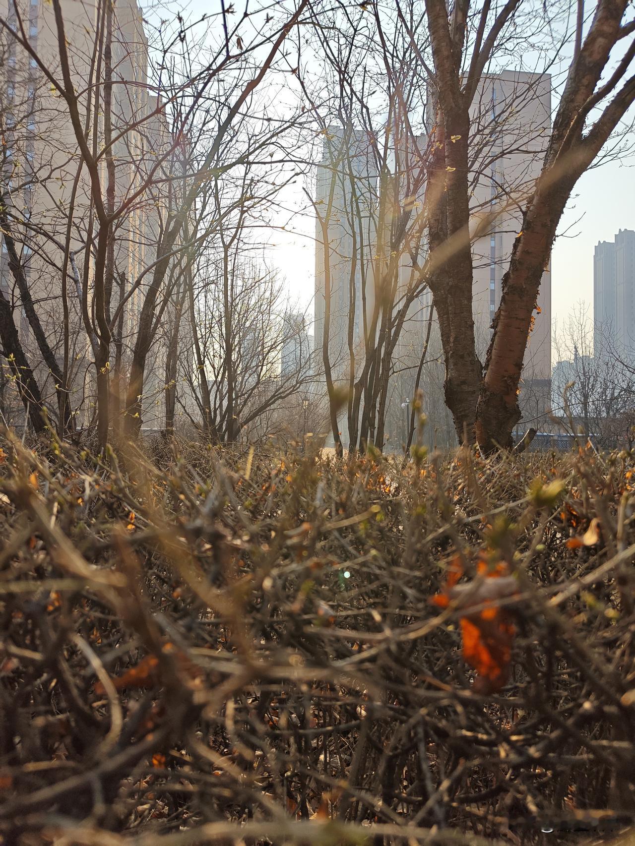为啥脾气越来越好了？其实是变老了，气血不足，没力气计较了
 
以前啊，谁要是惹到