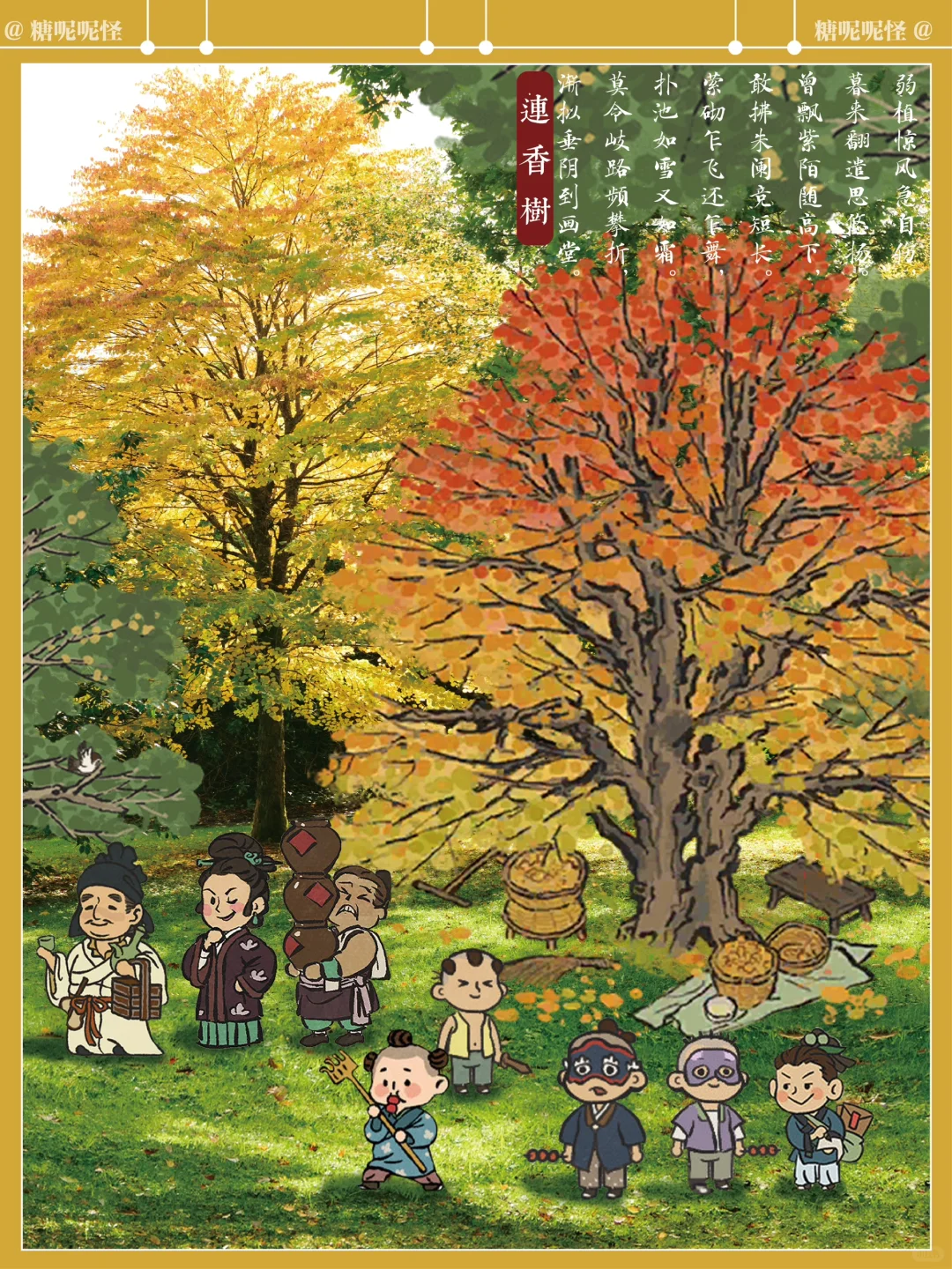 现实中的【连香树】长这样⬆️⬆️⬆️