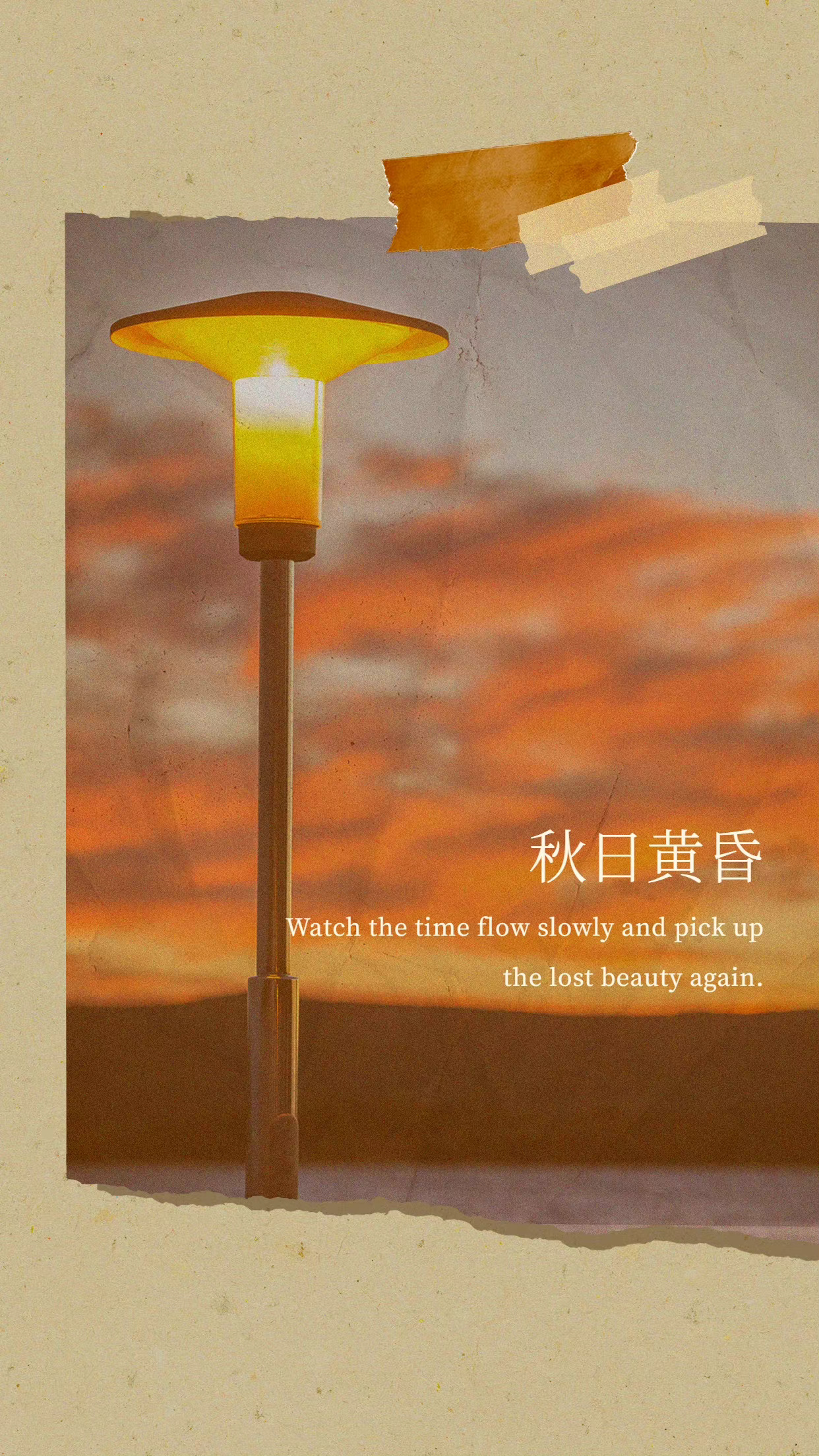 走一走安静的街道晒一晒秋日的暖阳