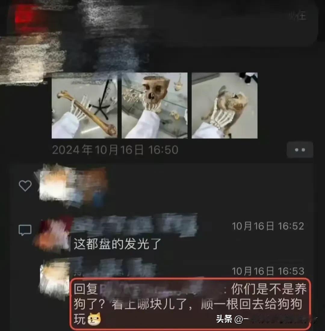 无所畏惧！近日，内蒙古医科大学生朋友圈，分享把玩“大体老师”头骨的合影照片，引发