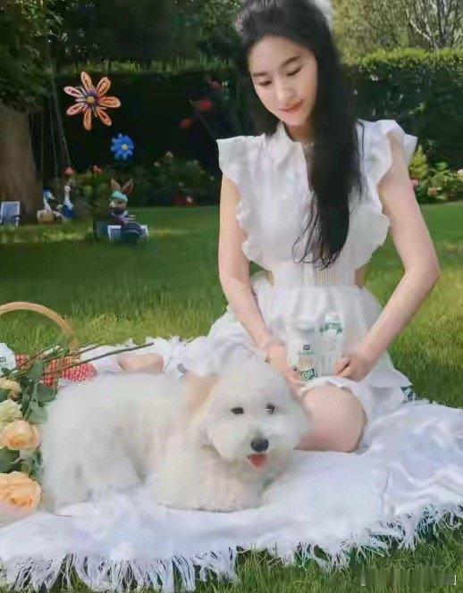 刘亦菲携爱犬登上时尚芭莎九月刊破防了！刘亦菲带捡来的流浪狗“哈哈”登封2026《