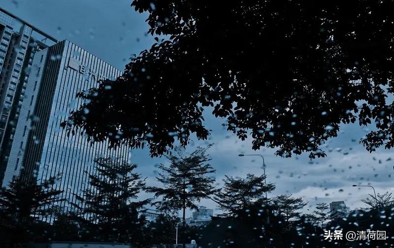 一场雨就能分出市区和郊区吗?“一场雨确实能检验硬件，但真正分出差距的，是积水退去