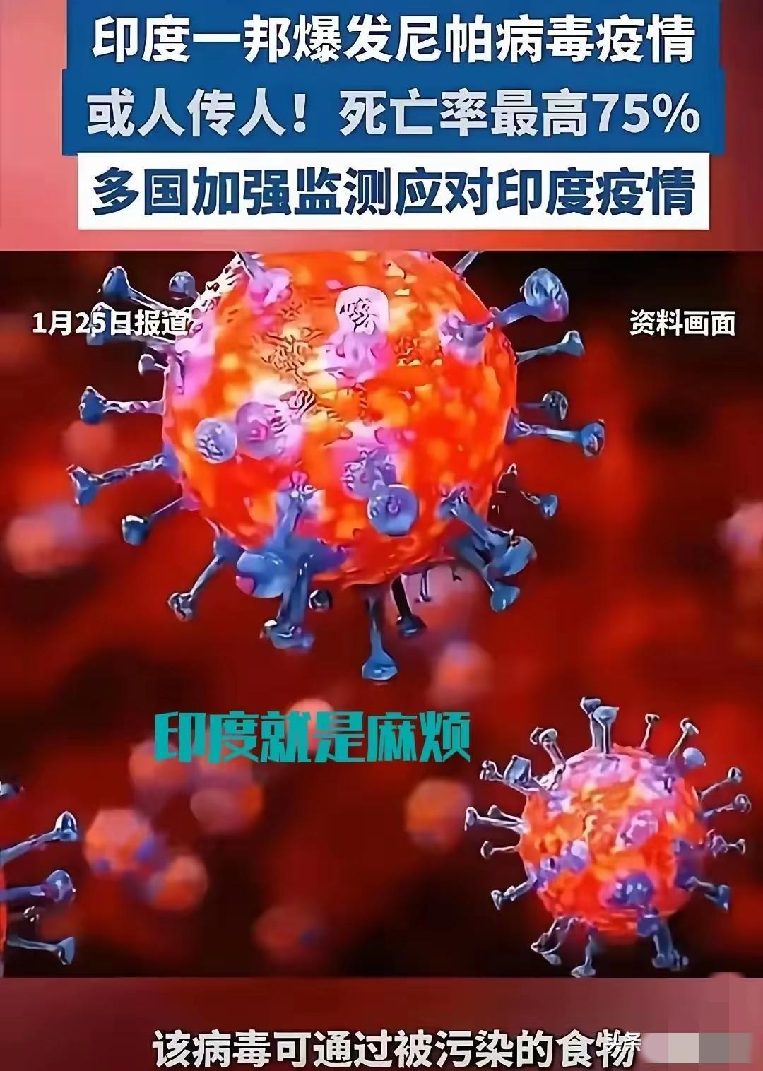 印度这时间点，卡得真准

春节快到了，印度突然爆出尼帕病毒。人传人、致死率75%