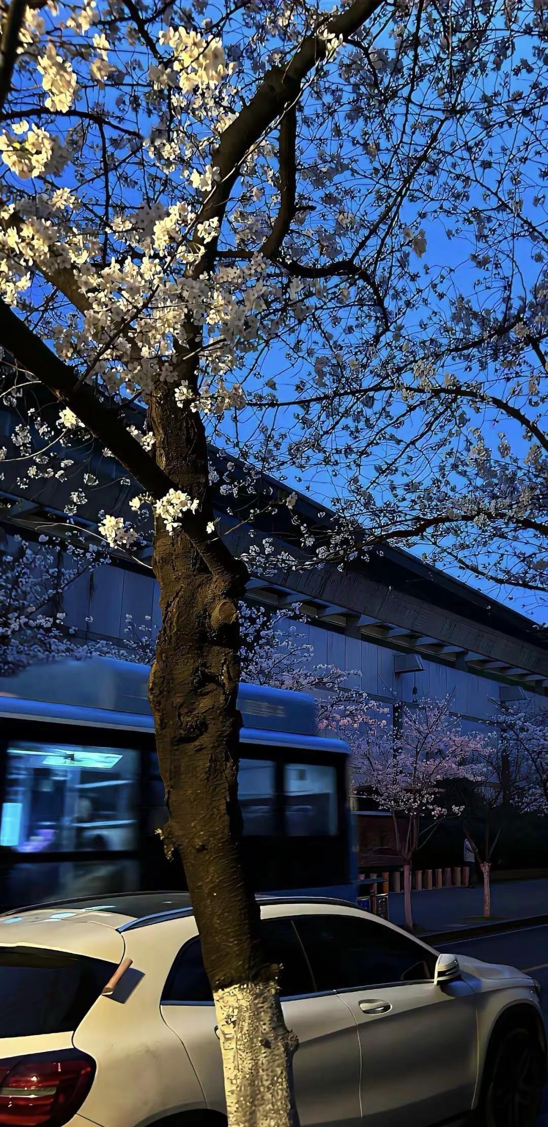 不要因为沙子迷了眼睛就再也不肯欣赏美景了