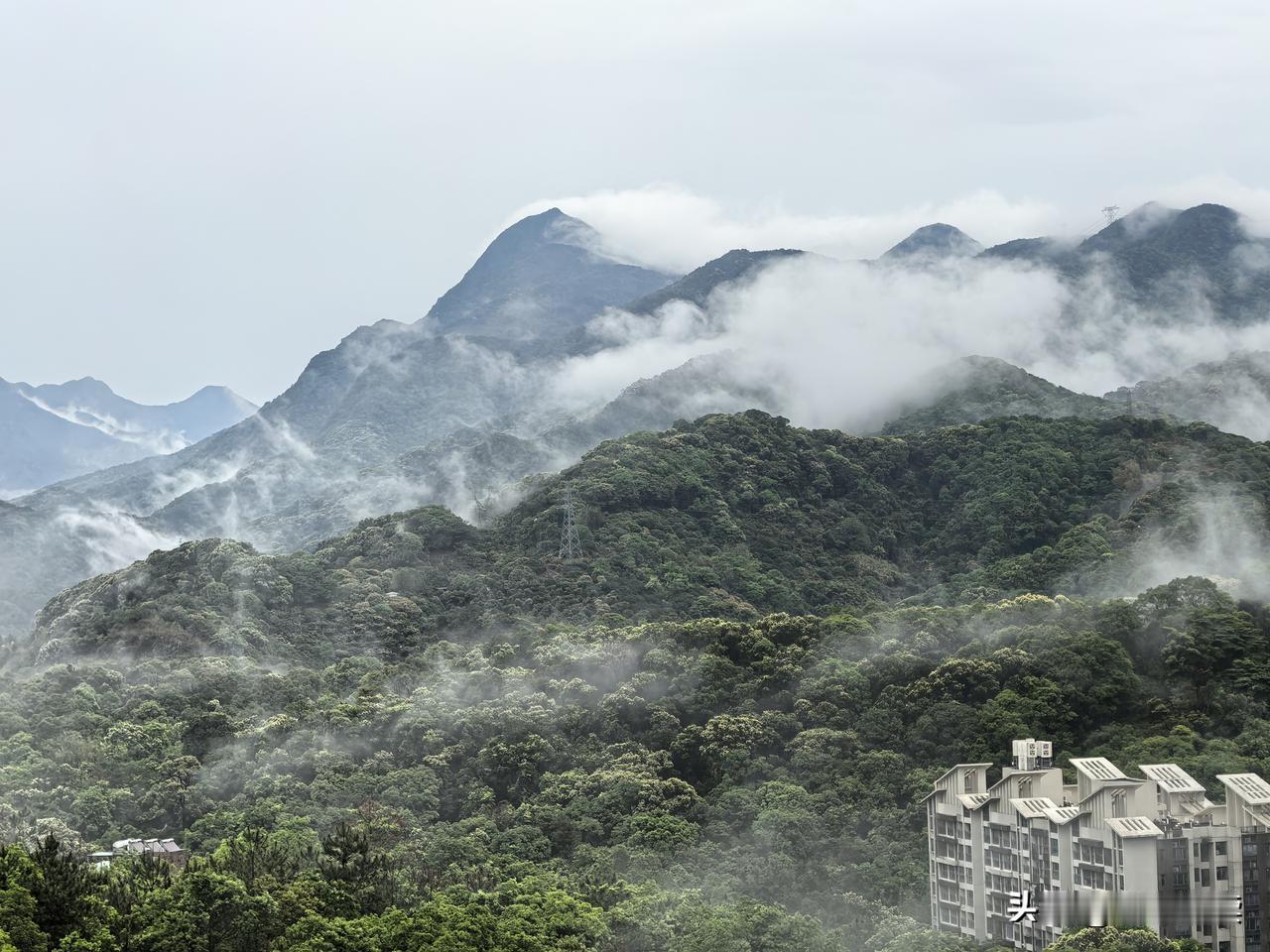 雨过天晴，深吸一口气，沁人心脾。一阵穿林的风，和一颗愿意慢下来、好好感受当下的心