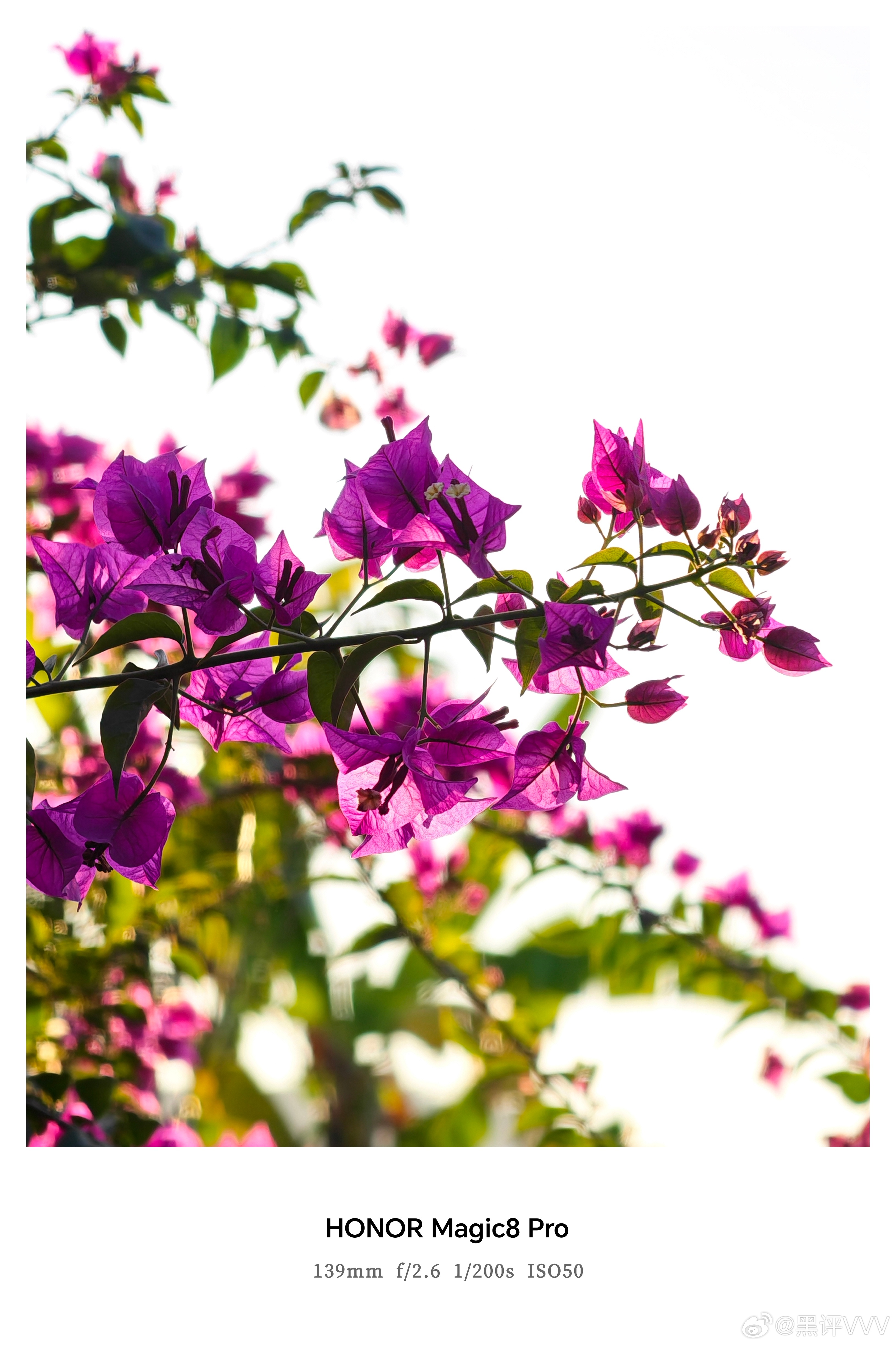 荣耀Magic8 Pro不应该是一款被低估的影像旗舰机，这段时间一直把它作为主力