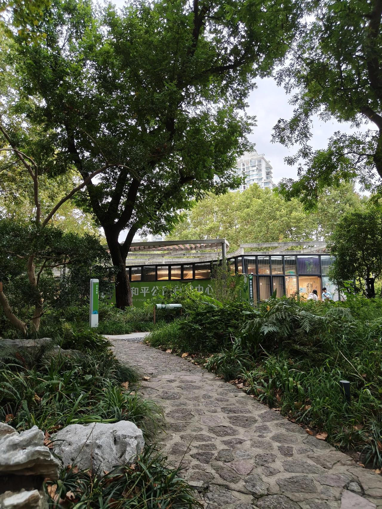 周末公园散步随手拍～🌸🌿

秋日傍晚🌆随手拍实景图分享！