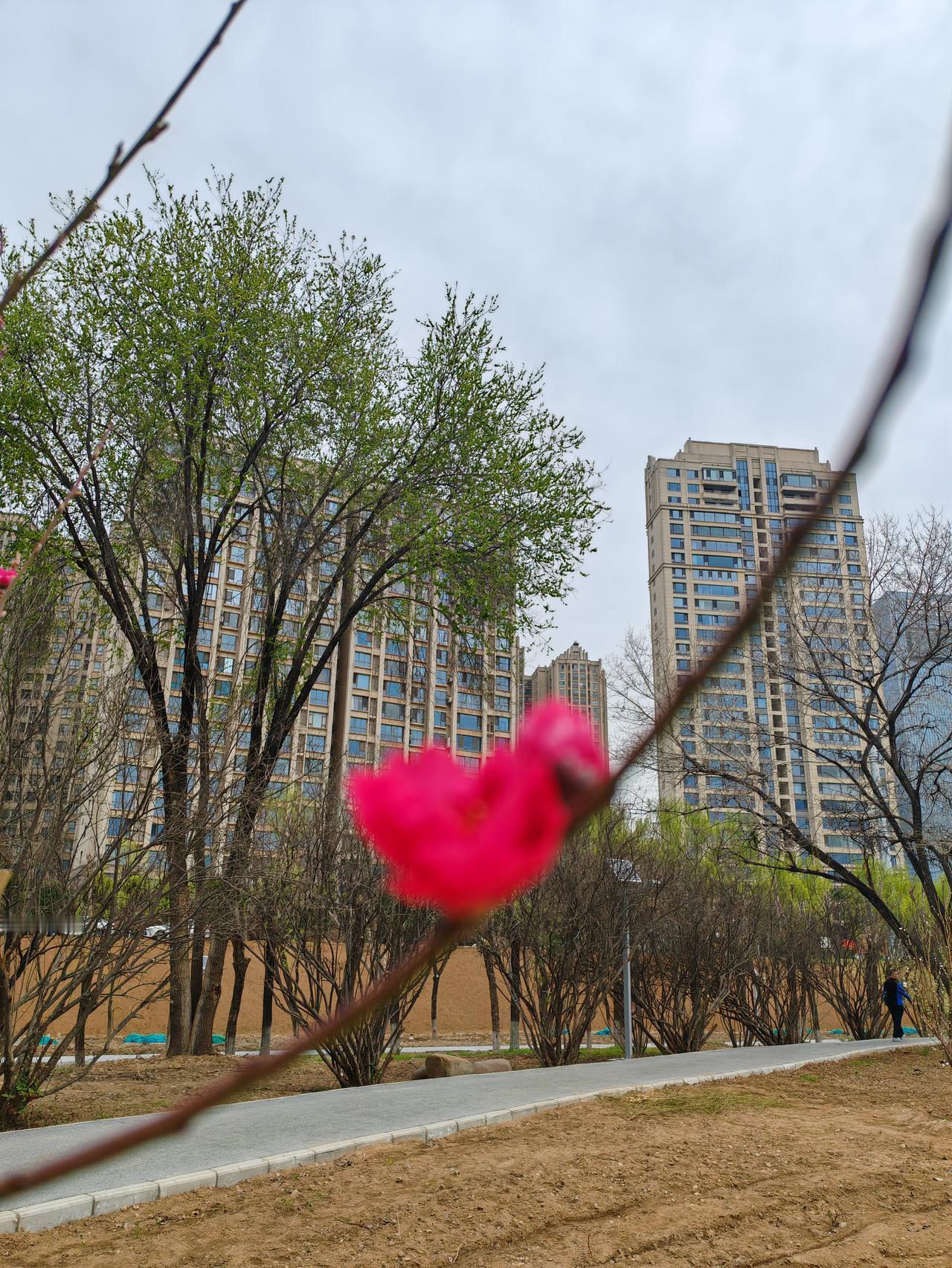 最近天气不好，外面已经黑了。

病房的楼道里面也已经安静了下来，我们的病房也已经