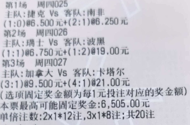 风哥世界杯风向：🚩025 世界杯 捷克vs南非🚩026 世界杯 瑞士vs波黑