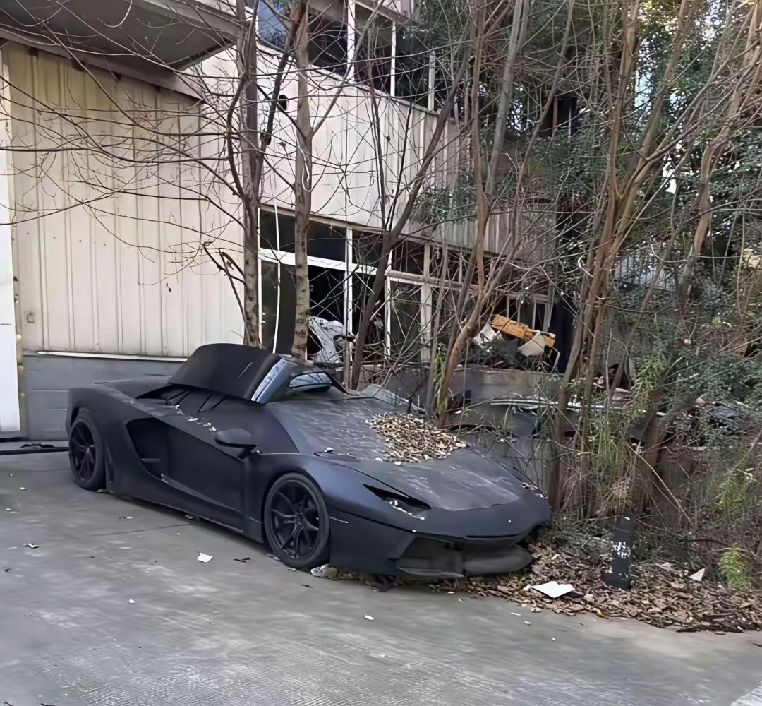 天哪，这辆车到底经历了什么？被荒废在室外，任由风吹雨打。
有网友猜测，它的主人要