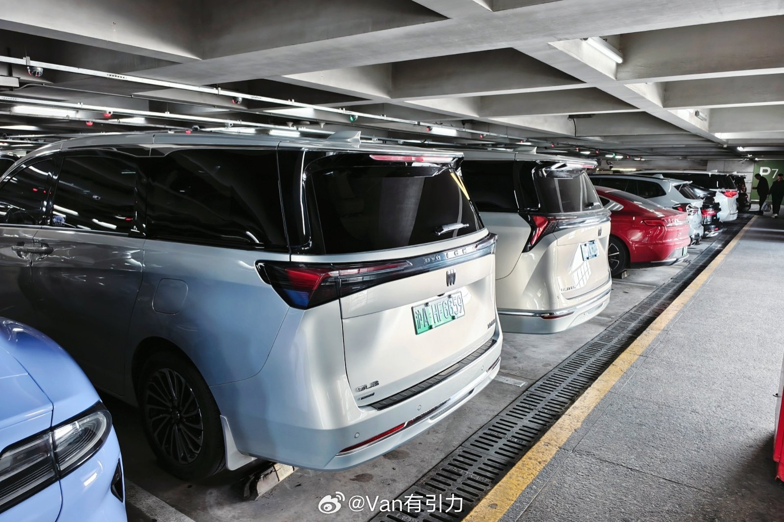 上海的7座专车大面积换成陆尊/陆尚了？连颜色都统一了MPV 上海·上海虹桥国际机