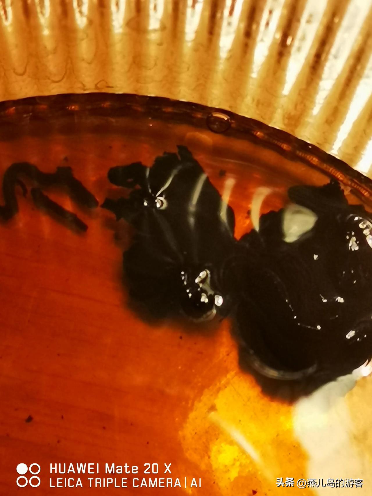 这种茶都是这样的吗？

老茶头煮了三泡了，茶叶头没有任何松散，拿出来捏了捏还QQ
