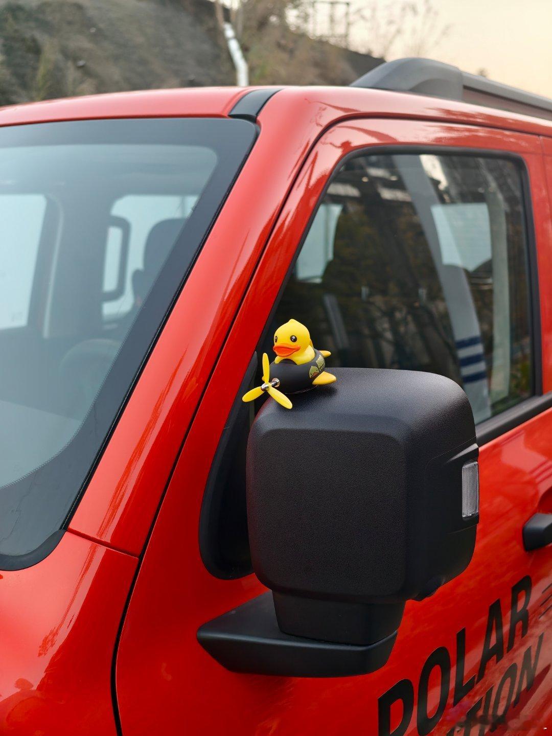 20块大洋买的。可爱不？不知道能呆几天…