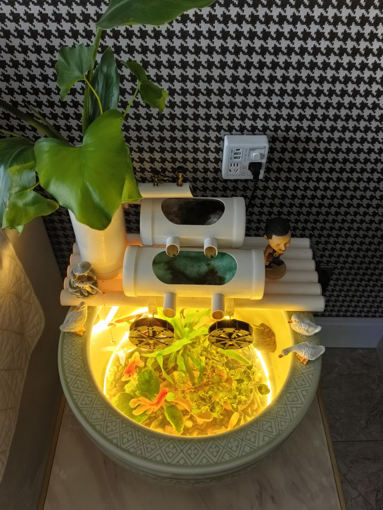 大家敢不敢晒晒你家鱼缸啊