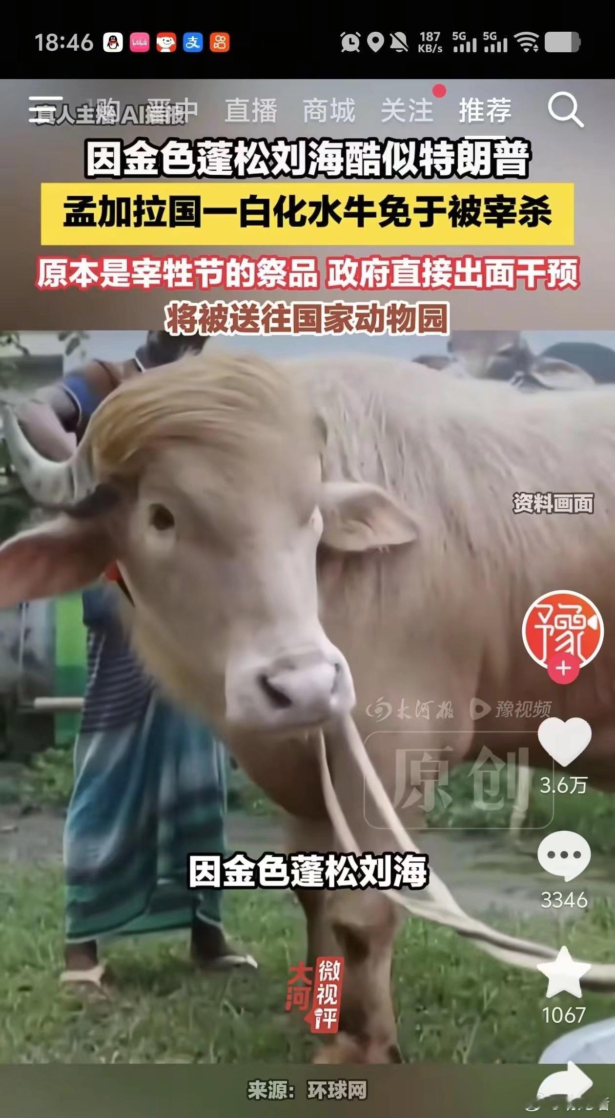 卧槽我肚子笑得好痛 
