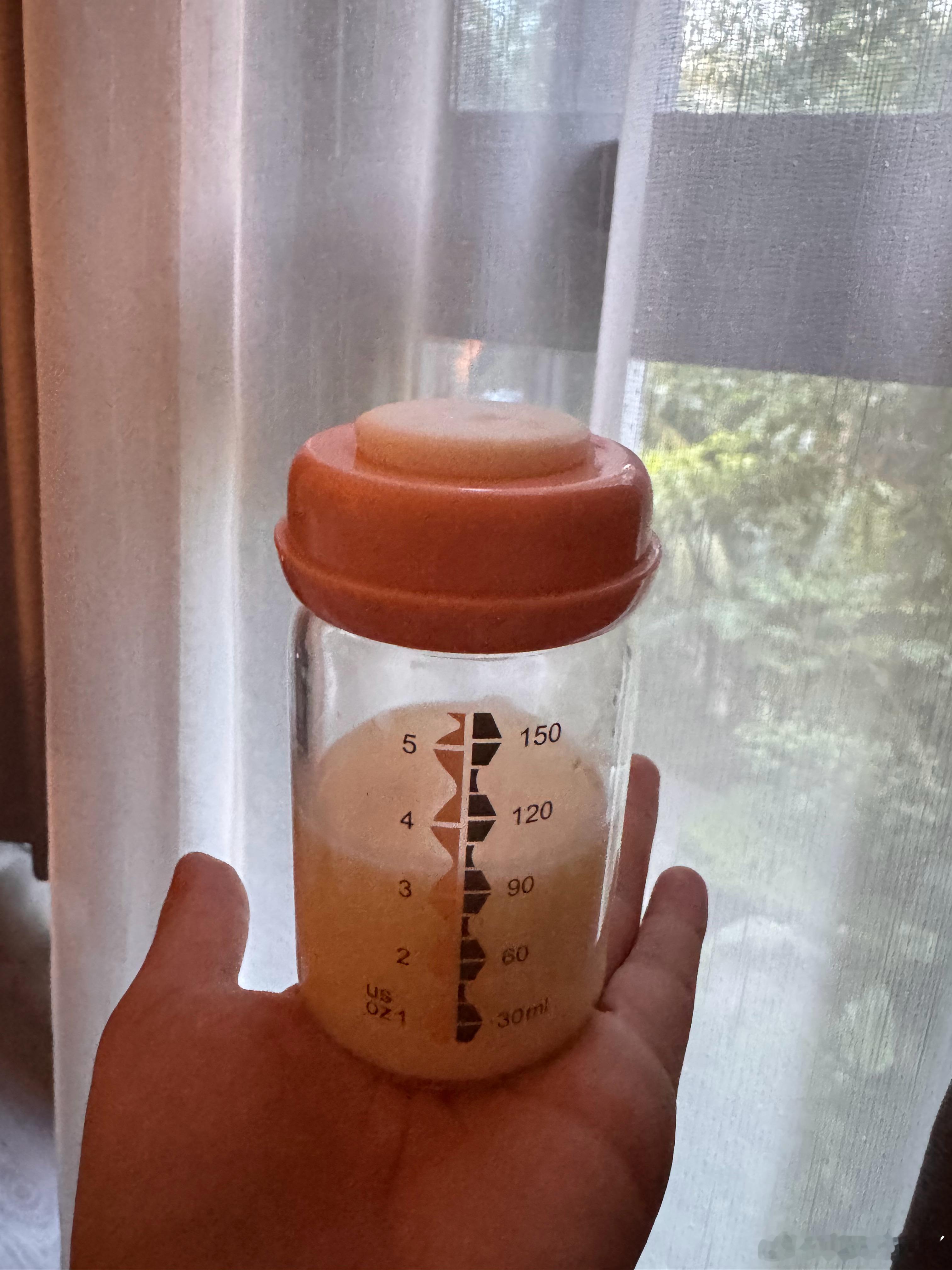 早，起床当妈了汤包的煲崽日记