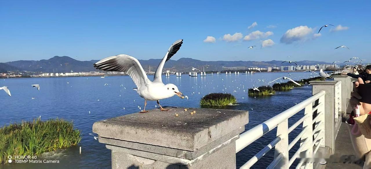 航天一院主要招聘航空宇航科学与技术、机械工程等理工类相关专业，也会招聘外国语言文