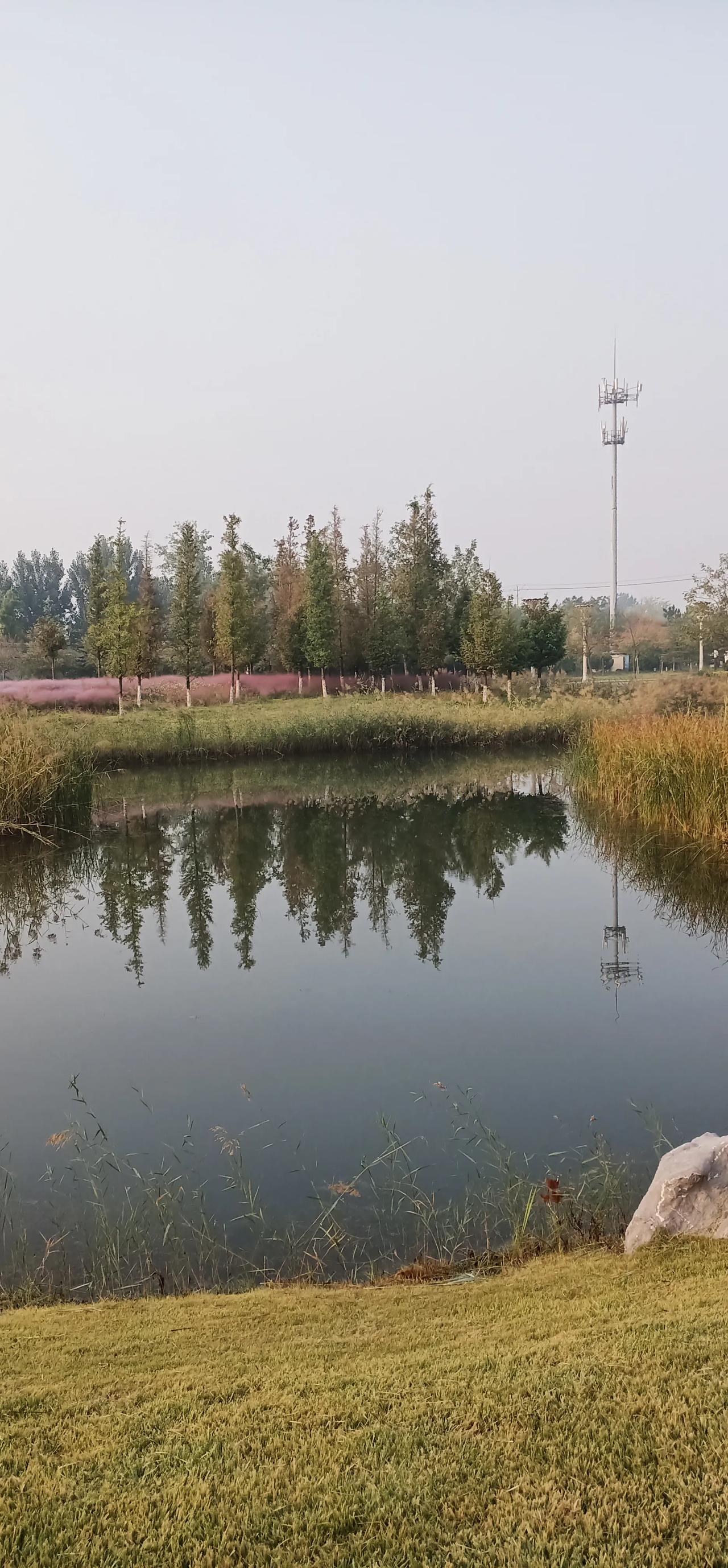 我的头脑里收藏着古老的幻想，
月亮一般奢侈，
太阳一样热烈，
风一样快乐，
雨一