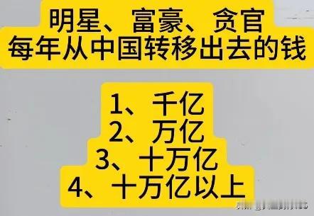 贪官污吏和无良的资本家把钱转移到了国外，留下一堆钢筋混凝土和砖头！大多数民众成了