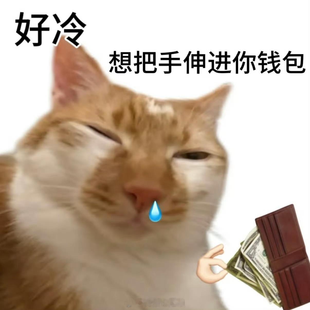 1.估计是降温+经期的双重buff，免疫力下降了……来了月经两天就流鼻涕了两天?