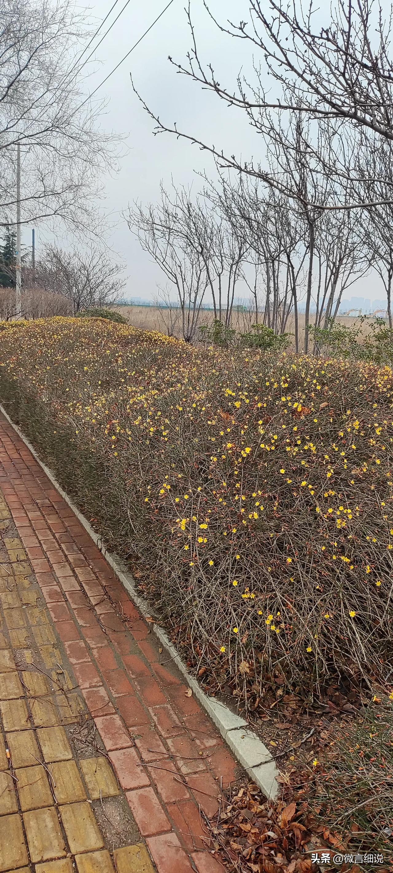 春雨洗春花，春风入万家。
春雪漫遮灯，春暖满天涯。
元宵佳节来临之际，中华大地雨