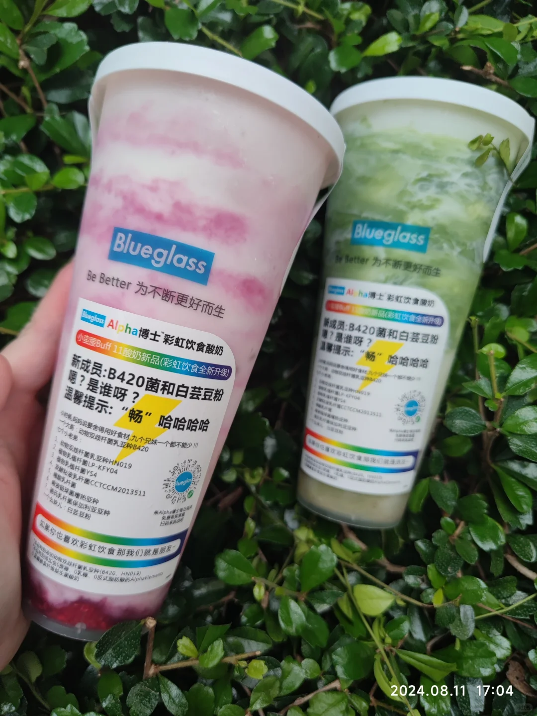 发现美丽新宝藏