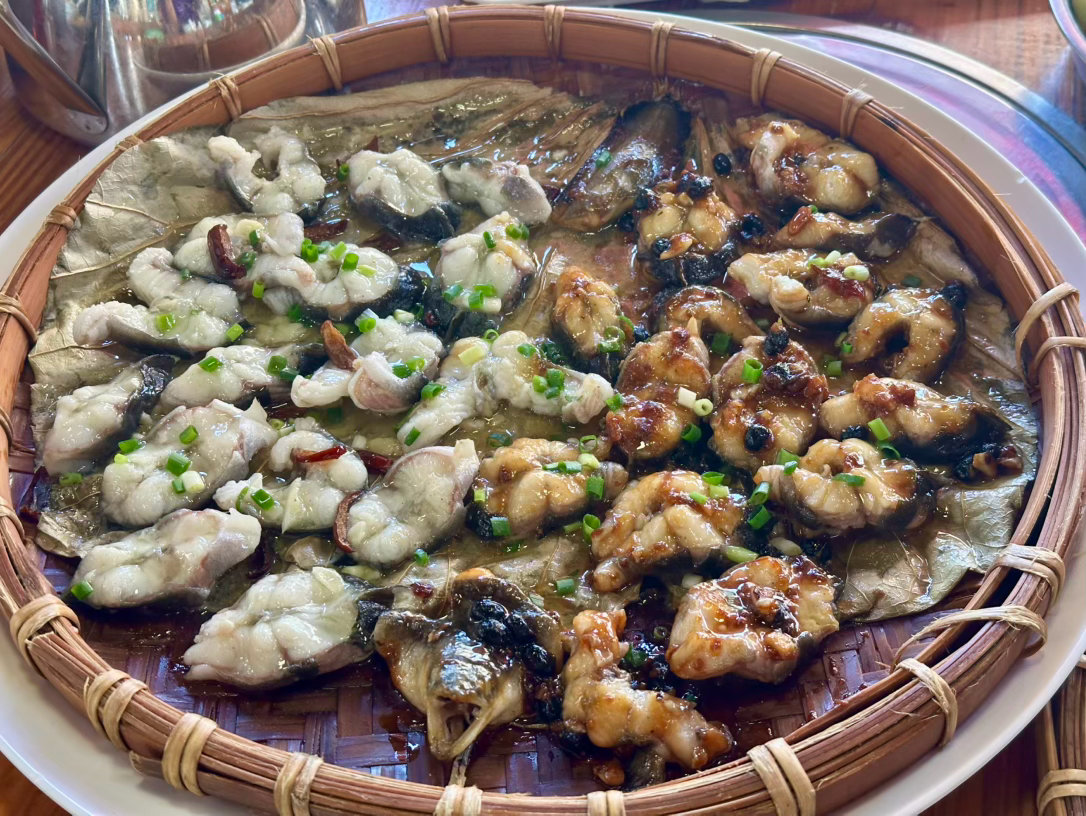 吃了吗大家？吃个顺德菜，水一条微博吧[老师好] ​​​
