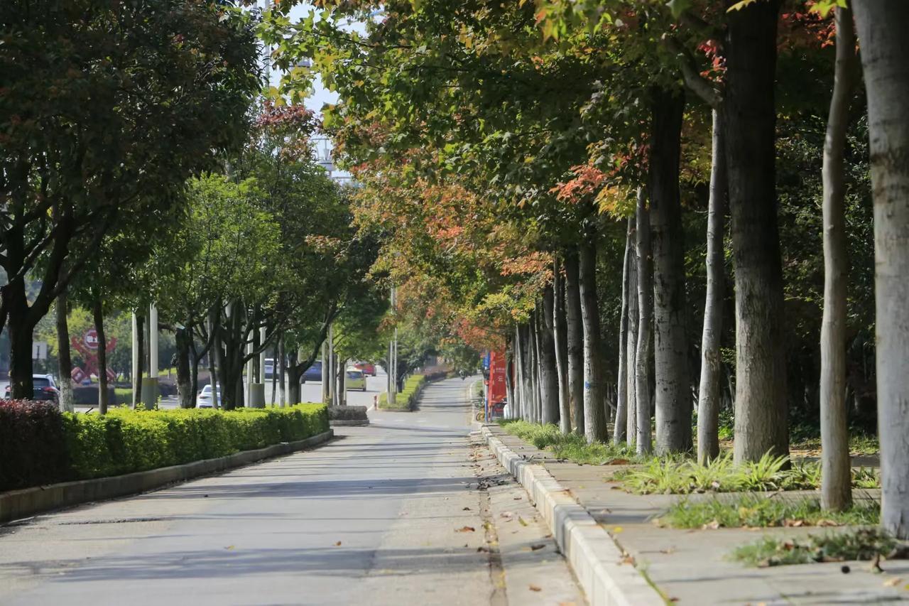 中国人把做炒菜做饭称为厨艺，当做一门艺术去追求，做菜讲求色香味俱全，所以，工系复
