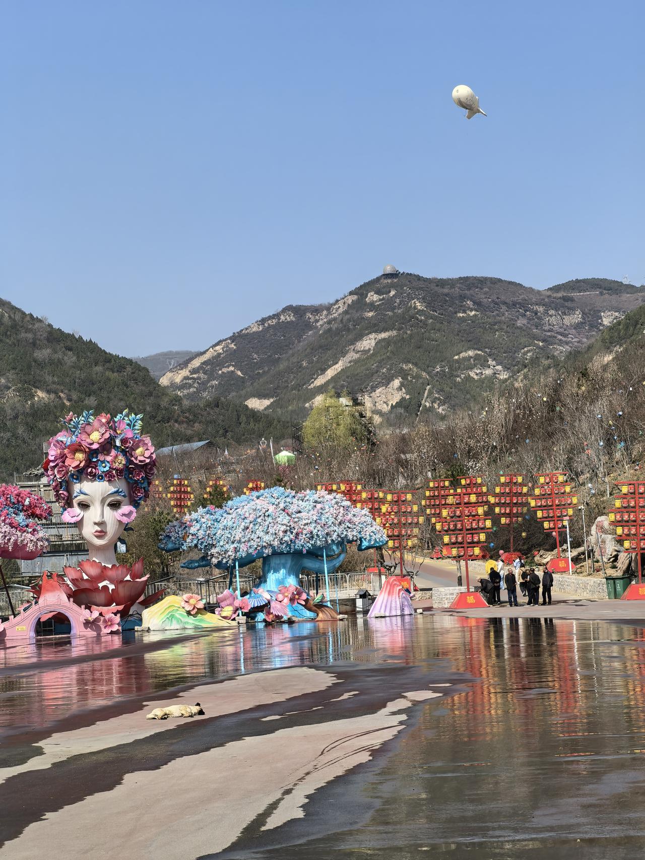 分享一张你最近相册里治愈的随手拍樱花节筹备中……