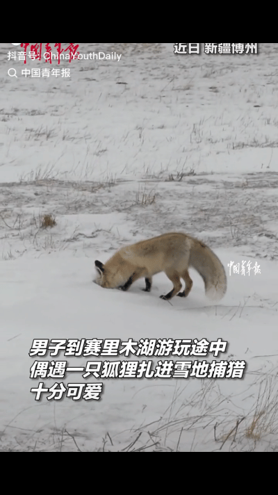 “解释不清了！”近日，新疆博州，男子到赛里木湖游玩，看见雪地景色不错，本想记录下